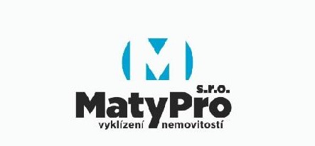 Primary Raster logo